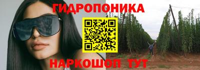 гашиш Кимры
